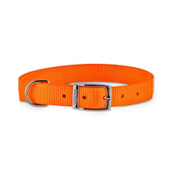 petco led collar