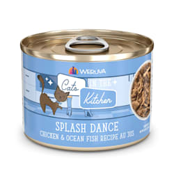 Cats in the Kitchen Splash Dance Chicken and Ocean Fish Recipe Au Jus Wet Cat Food