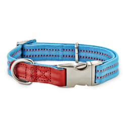 prong dog collar petco