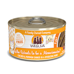 Weruva Pate Who Wants to be a Meowionaire? Chicken & Pumpkin Dinner in a Hydrating Puree Wet Cat Food