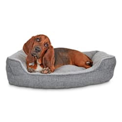 EveryYay Snooze Fest Grey Rectangle Nester Box Dog Bed
