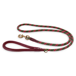 Reddy Olive Rope Dog Leash