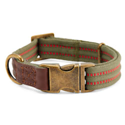 Reddy Olive Webbed Dog Collar