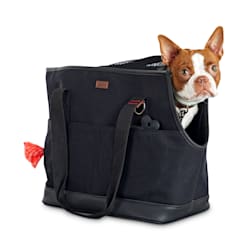 Reddy Black Canvas Dog Carrier Tote