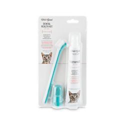 cat toothpaste and toothbrush