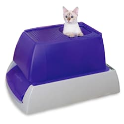 Petco top clearance entry litter box