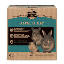 Oxbow Alfalfa Hay