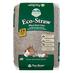 petco oxbow guinea pig food