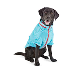 Reddy Cerulean Blue Dog Windbreaker
