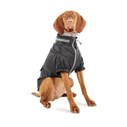 Reddy Black Dog Windbreaker