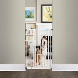 petco baby gate