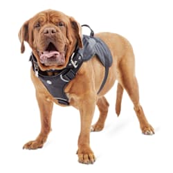 escape proof dog harness petco