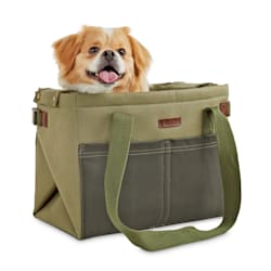 large dog stroller petco