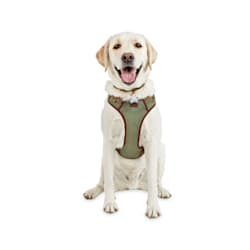 dog harness for sale near me
