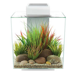 Fluval Edge 2.0 White Aquarium Kit