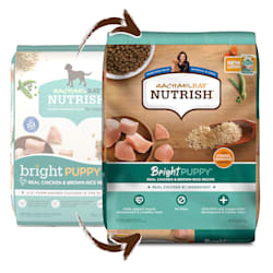 nutrisource puppy food petco
