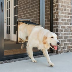 petco dog door replacement flap