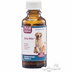 dog ear infection medicine petco