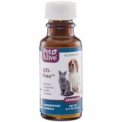 otc uti meds for cats