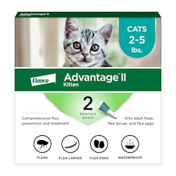 Advantage II Once-A-Month Topical Kills Flea for Kitten