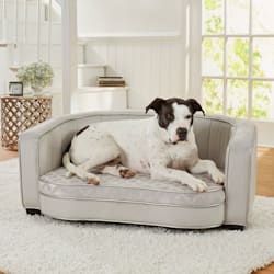 Enchanted Home Pet Sofas Dog Beds Petco