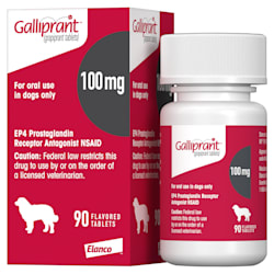 canine spectra 5 petco