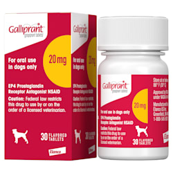 Galliprant 20 mg for Dogs