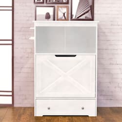 petco automatic dog feeder