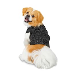 Reddy Grey Turtleneck Dog Sweater