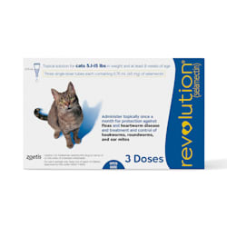 buy cat medicine online