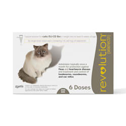 Revolution Topical Solution for Cats 15.1-22 lbs