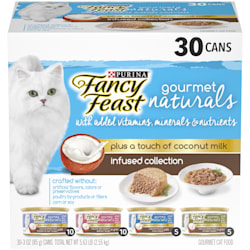 cat food online store