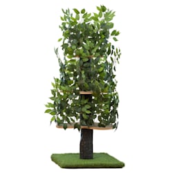 buy cat tree near me