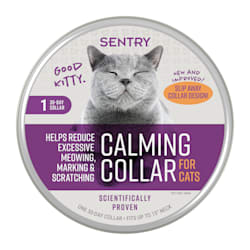 e collar for cats petco