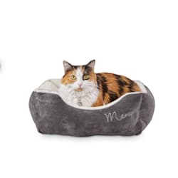 heated cat bed petco