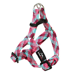 no jump harness petco