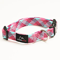 collar and leash pet store