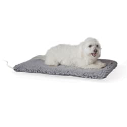 petco heated dog beds