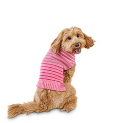 cheap puppy sweaters