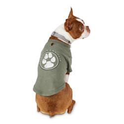 Reddy Olive Make Your Own Path Jersey Crewneck Dog T-Shirt