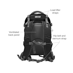 large dog stroller petco