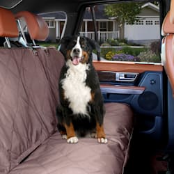 KONG 2-In-1 Car Bench Seat Cover and Hammock for Dogs, Petco