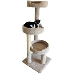 New Cat Condos Cat Trees Towers Petco