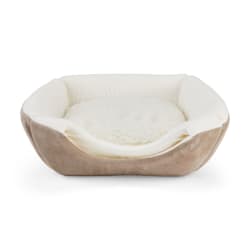 EveryYay Snooze Fest 2 in 1 Novelty Pyramid Convertible Cat Bed