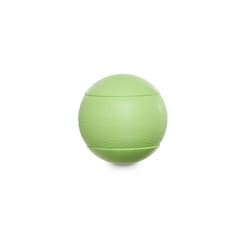 wobble wag giggle ball petco