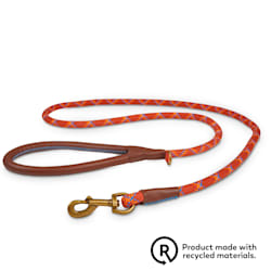 wigzi gel leash petco