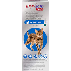 Bravecto Plus Topical Solution for Cats Greater Than 6.2-13.8 lbs