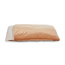 EveryYay Snooze Fest Pillow Pocket Dog Bed