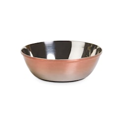 EveryYay Dining In Metallic Ombre Stainless-Steel Dog Bowl