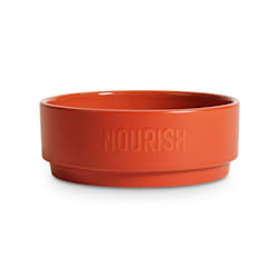 EveryYay Dining In Orange Nourish Ceramic Dog Food Bowl